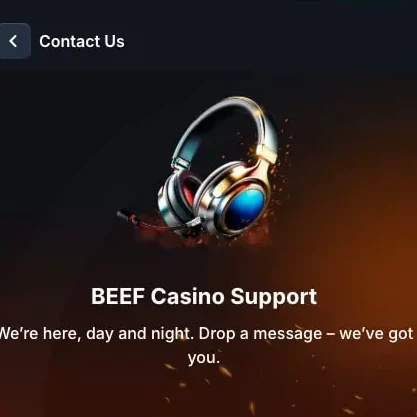 Customer Support